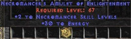Necromancer Amulet - 2 All Necro Skills & 30 Energy - West Non-Ladder