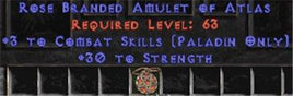 Paladin Amulet - 3 Combat Skills & 30 Str - West Non-Ladder
